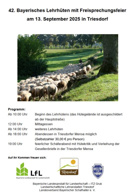 Lehrhüten 2025