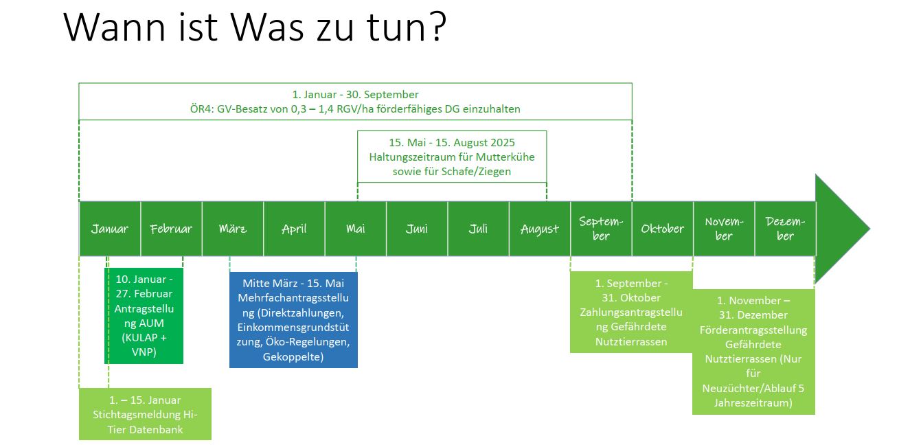 Zeitstrahl