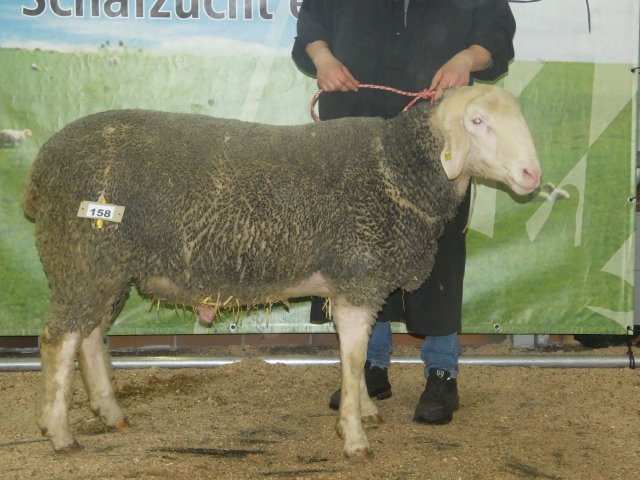 DE010995681949 BY-RL