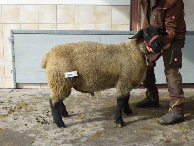 DE010991550820 BY-TD