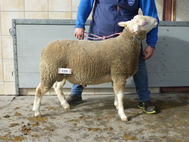 DE010991610122 BY-KL