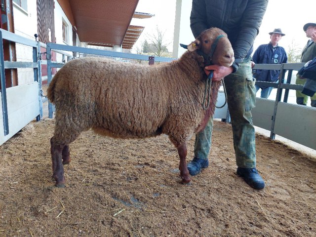 DE010991810124 BY-HD