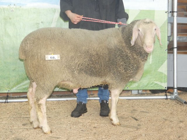 DE010995682039 BY-RL